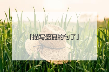 描写盛夏的句子