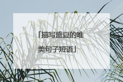 描写盛夏的唯美句子短语