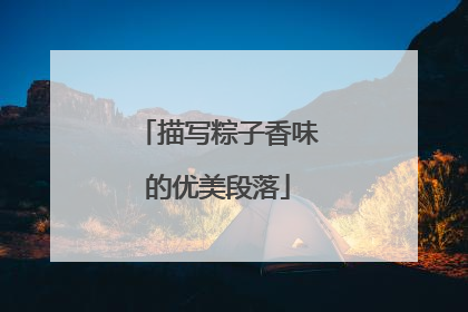 描写粽子香味的优美段落