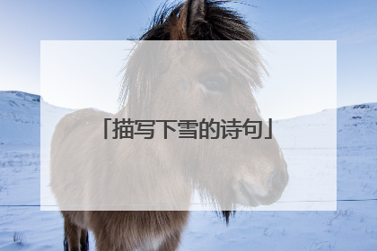 描写下雪的诗句