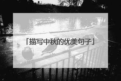 描写中秋的优美句子