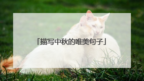 描写中秋的唯美句子