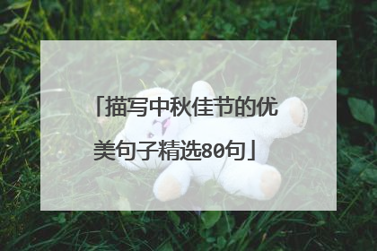 描写中秋佳节的优美句子精选80句