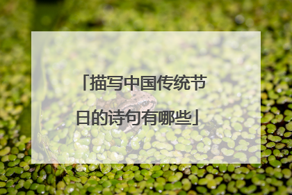 描写中国传统节日的诗句有哪些