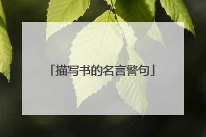 描写书的名言警句
