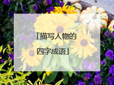 描写人物的四字成语