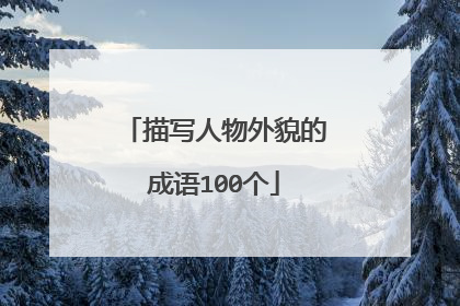 描写人物外貌的成语100个
