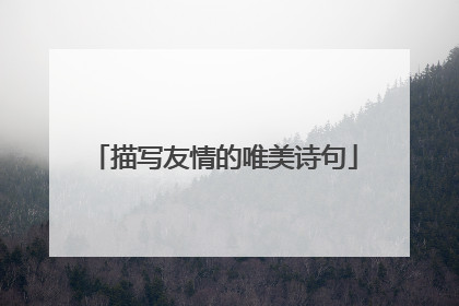 描写友情的唯美诗句