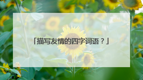 描写友情的四字词语？