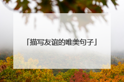 描写友谊的唯美句子