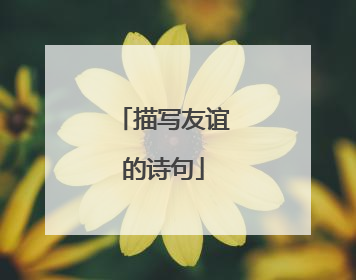 描写友谊的诗句