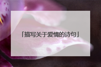 描写关于爱情的诗句