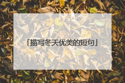 描写冬天优美的短句