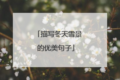 描写冬天雪景的优美句子