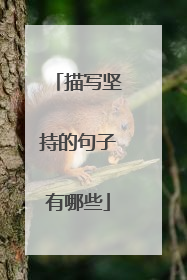 描写坚持的句子有哪些