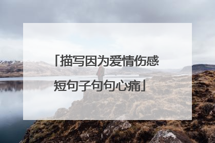 描写因为爱情伤感短句子句句心痛
