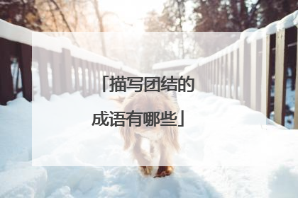 描写团结的成语有哪些