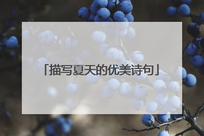 描写夏天的优美诗句