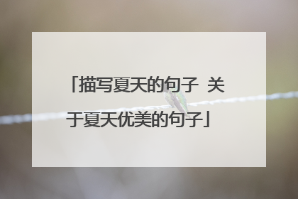 描写夏天的句子 关于夏天优美的句子