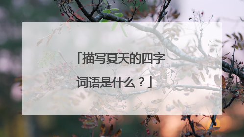 描写夏天的四字词语是什么?