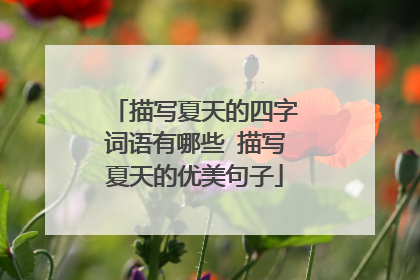 描写夏天的四字词语有哪些 描写夏天的优美句子