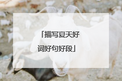 描写夏天好词好句好段