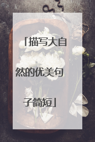 描写大自然的优美句子简短