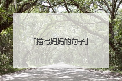 描写妈妈的句子