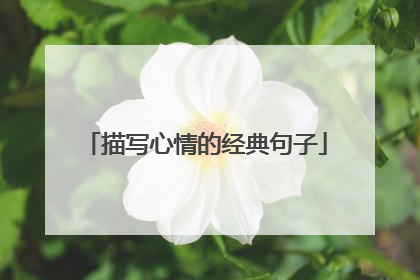 描写心情的经典句子