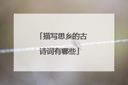 描写思乡的古诗词有哪些