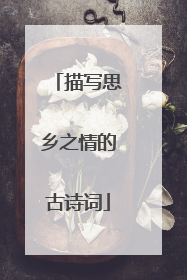 描写思乡之情的古诗词