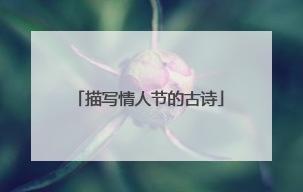 描写情人节的古诗