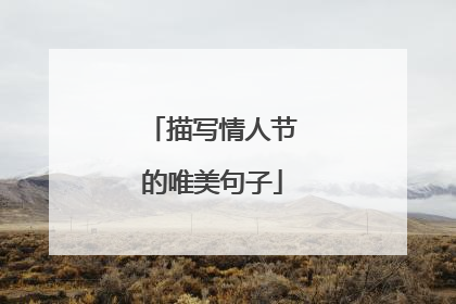 描写情人节的唯美句子