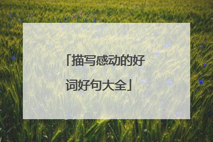 描写感动的好词好句大全