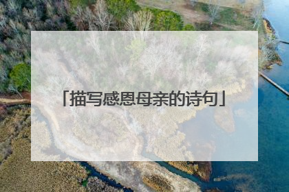 描写感恩母亲的诗句