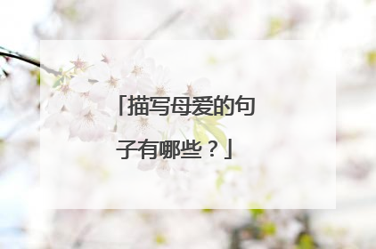 描写母爱的句子有哪些?