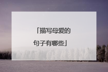 描写母爱的句子有哪些