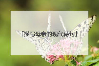 描写母亲的现代诗句