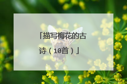 描写梅花的古诗(10首)