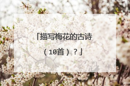 描写梅花的古诗(10首)?