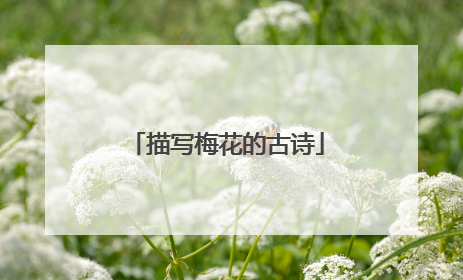 描写梅花的古诗