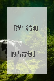 描写清明的古诗句