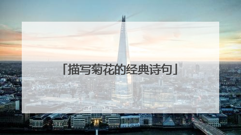 描写菊花的经典诗句