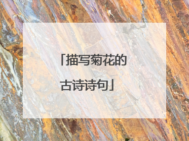 描写菊花的古诗诗句