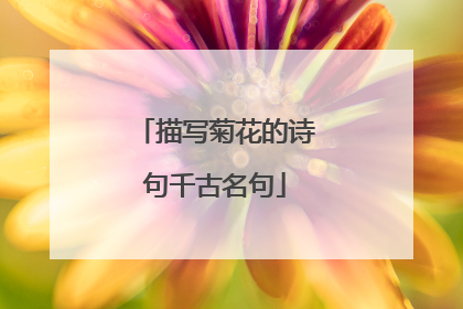描写菊花的诗句千古名句