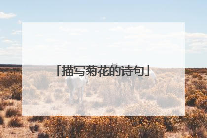 描写菊花的诗句
