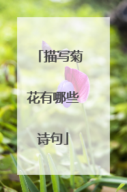 描写菊花有哪些诗句