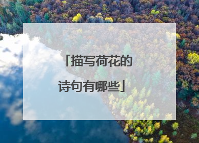 描写荷花的诗句有哪些