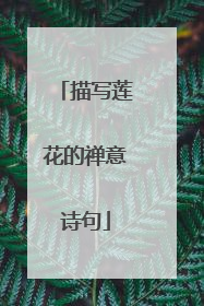 描写莲花的禅意诗句