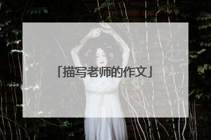 描写老师的作文